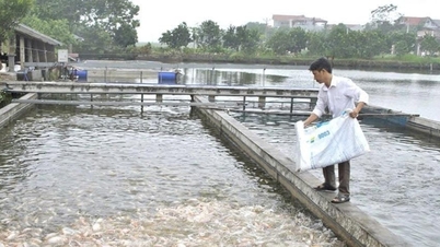 Đổi mới công nghệ, nâng tầm phát triển ngành nuôi trồng thủy sản