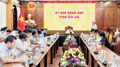 En l'espace de quinze jours, le président de la province de Gia Lai a eu deux dialogues pour éliminer les obstacles pour les entreprises.