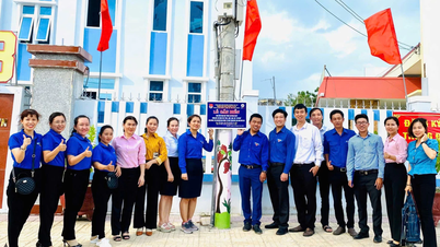 Khanh Hoa Electricity Youth Union volunteers