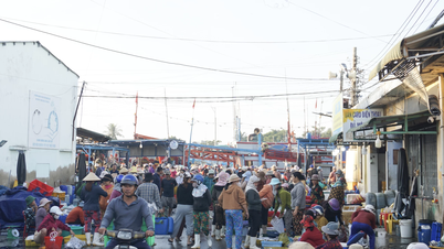 Reduce the load for Dong Hai fishing port
