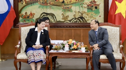 Permanent Deputy Minister Le Hai Binh received the Deputy Head of the Central Propaganda Department of the Lao People's Revolutionary Party