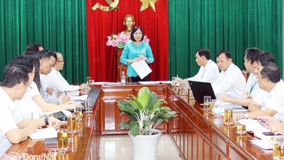 Dong Nai tartomány vezetői a Sovi Vállalattal együttműködve dolgoznak a Bien Hoa 1 Ipari Parkból való áthelyezés tervén.