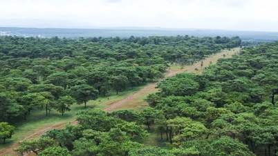 Příprava na výběrové řízení na projekt golfového hřiště Dak Doa, golfový komplex Ia Hrung