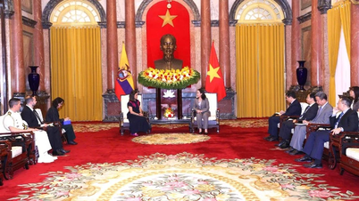 Fremme samarbeidet mellom Vietnam og Ecuador for å bli stadig dypere, mer praktisk og effektivt