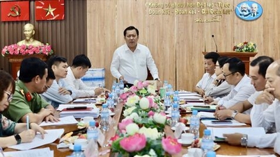 Posouzení úkolů urbanistického plánování pro Trang Bang, Tan Ninh, Hoa Thanh a nové městské oblasti