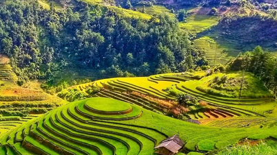 في الأشهر العشرة الأولى من عام 2025، استقبلت لاو كاي 9.4 مليون سائح.