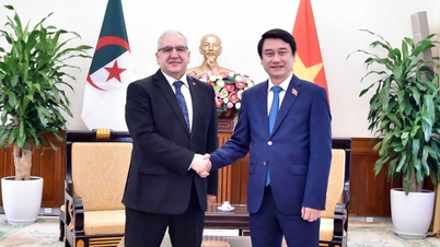 A quarta consulta política Vietname-Argélia