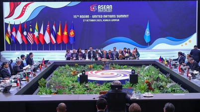 ASEAN and the United Nations need to effectively implement the Action Plan for the 2026-2030 period.