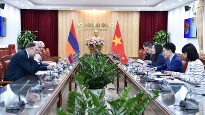 Creating strong, breakthrough changes in Vietnam-Armenia cooperation