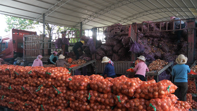 Waarom is de import van landbouwproducten via de grensovergang van Lao Cai zo sterk toegenomen?
