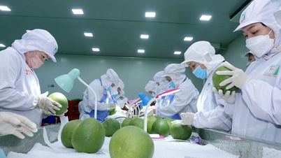 Neuer Schritt vorwärts bei der gegenseitigen Steuer zwischen den USA und Vietnam