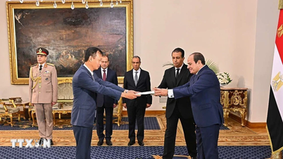Verdere versterking van de samenwerking binnen het kader van het alomvattende partnerschap Vietnam-Egypte