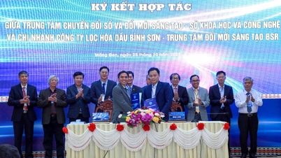 Thúc đẩy ươm tạo và lan tỏa mô hình sáng tạo: Trung tâm Đổi mới sáng tạo BSR hợp tác cùng Sở Khoa học và Công nghệ tỉnh Quảng Ngãi