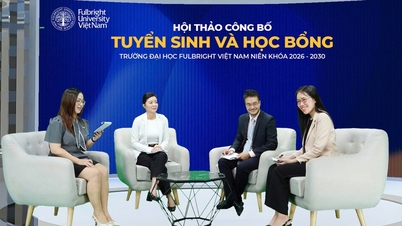 Admisiones en la Universidad Fulbright de Vietnam: ¿Qué aprender en un mundo en constante cambio?