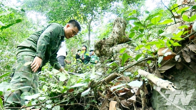 Tăng cường bảo vệ rừng đặc dụng