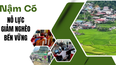 Nậm Có nỗ lực giảm nghèo bền vững