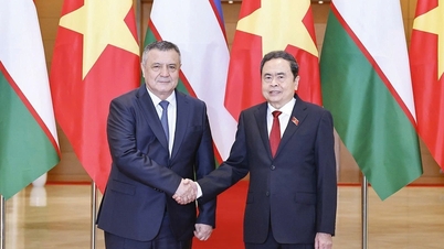 Vietnam - Uzbekistan masih mempunyai banyak potensi untuk menggalakkan kerjasama.