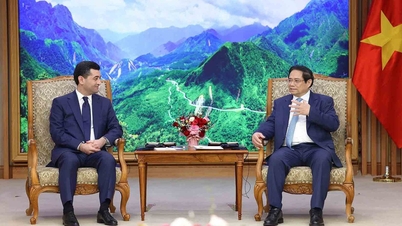 Vietnam og Usbekistan har potensial til å utfylle hverandre.