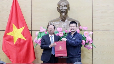 Provincial People's Committee works with Investor Radiant Opto - Electronics Corporation and partners