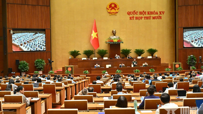 Trực tiếp: Quốc hội thảo luận việc thực hiện chính sách về bảo vệ môi trường