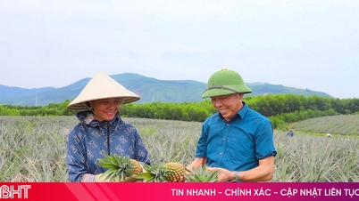 Quy định mới về đơn vị sự nghiệp công lập khuyến nông cấp tỉnh, cấp xã
