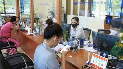 Hà Nội ủy quyền Sở Công Thương giải quyết 37 thủ tục về xuất, nhập khẩu