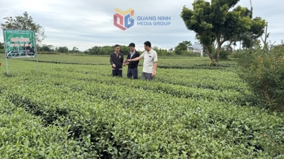 Xây dựng thương hiệu nông sản an toàn