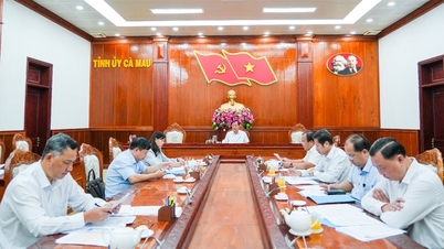 Họp Ban Chỉ đạo tỉnh thực hiện Nghị quyết 71 về đột phá phát triển giáo dục và đào tạo