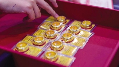 وقتی همه دارایی‌ها با سرعت زیادی در حال افزایش هستند، کجا باید سرمایه‌گذاری کنید؟