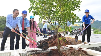 A União da Juventude da Khanh Hoa Salanganes Nest Company lançou o plantio de mais de 2.000 árvores