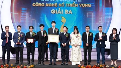 Membuat alat untuk mengesan tapak web penipuan, sekumpulan pelajar memenangi Anugerah Bakat Vietnam 2025