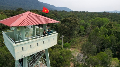 Taman Negara Phu Quoc menganjurkan 3,555 rondaan untuk mengurus dan melindungi hutan.