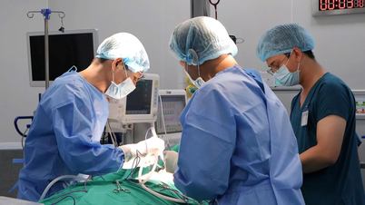 Woman with cancer “goes upstream” to find life again