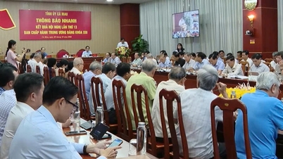 Cà Mau tổ chức Hội nghị thông báo nhanh kết quả Hội nghị Trung ương 13, khóa XIII