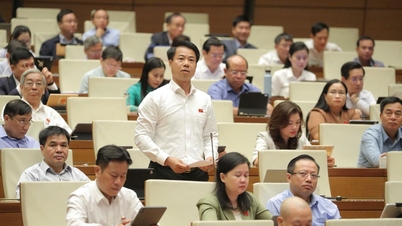 Quản lý rác sinh hoạt và rác thải nhựa - Trách nhiệm chung của doanh nghiệp, cộng đồng và mỗi người dân