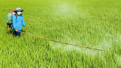 Planerad färdplan för att förbjuda produktion och användning av bekämpningsmedel som innehåller de aktiva ingredienserna karbosulfan och benfurakarb i Vietnam.