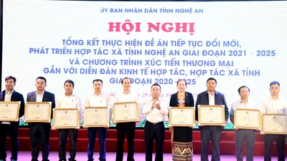 Nghe An: Quase 62% das cooperativas operam de forma eficaz, associadas à promoção comercial