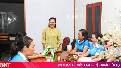 Ha Tinh Women's Union på alla nivåer omsatte entusiastiskt resolutionen i verkligheten.