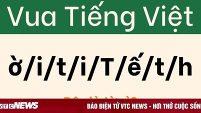 Chưa có 'cao nhân' ngôn ngữ nào dám thử sức với câu đố này
