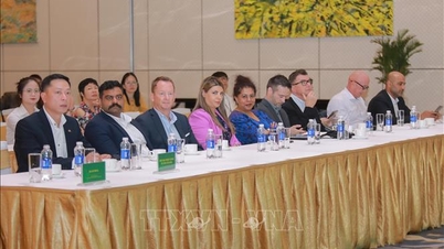 ពិព័រណ៍សរទរដូវឆ្នាំ 2025៖ អាជីវកម្មនូវែលសេឡង់ចង់ពង្រីកការវិនិយោគ និងអាជីវកម្មនៅវៀតណាម