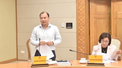 "ویت نام کے ثقافتی دن" پر مکمل دستاویزات اور حکومت کو رپورٹ کریں