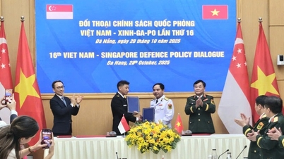 16. dialog o obranné politice mezi Vietnamem a Singapurem
