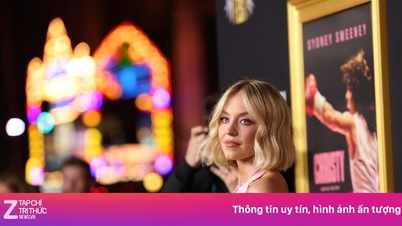 Sydney Sweeney tăng 13 kg để hóa thân thành huyền thoại quyền Anh