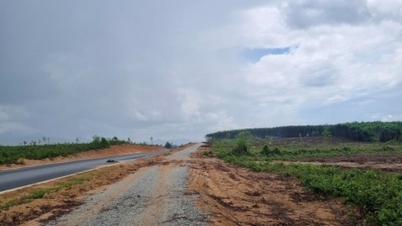 جيا لاي تحول ما يقرب من 9 هكتارات من الغابات لتنفيذ مشروع محطة استراحة الطريق السريع بين الشمال والجنوب