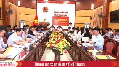 Thanh Hoa ilinde Ulusal Hedef Programlarının uygulama sonuçlarının izlenmesi
