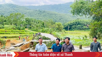 একীভূত হওয়ার পর ডং লুং রূপান্তরিত হয়