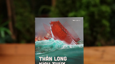 Lịch sử thuyền chiến Việt Nam từ "Thần long kích thủy"