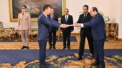 سفیر ویتنام استوارنامه خود را به رئیس جمهور مصر تقدیم کرد