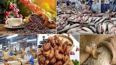 زرعی اور جانوروں کی خوراک کے شعبوں میں VAT کے ضوابط میں ترمیم کی تجویز
