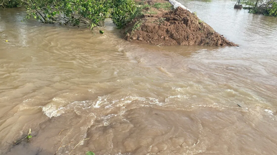 Vinh Long membetulkan 135 tanah runtuh dengan segera